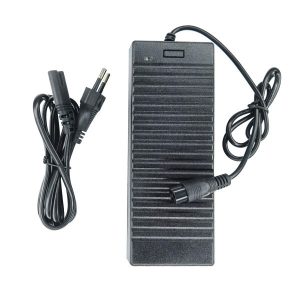 Cargador Zwheel 54.6V 2A